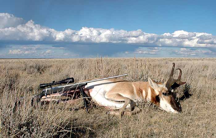 2007_Antelope.jpg