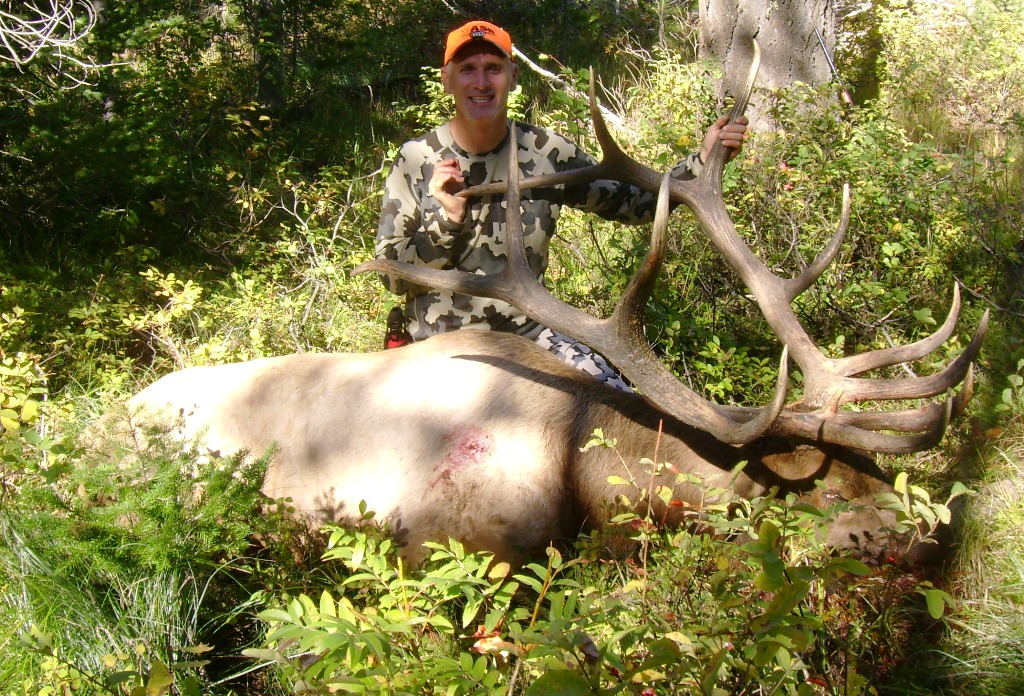 2013_Wy_Elk3.jpg